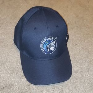 Minnesota Lynx Hat NWOT